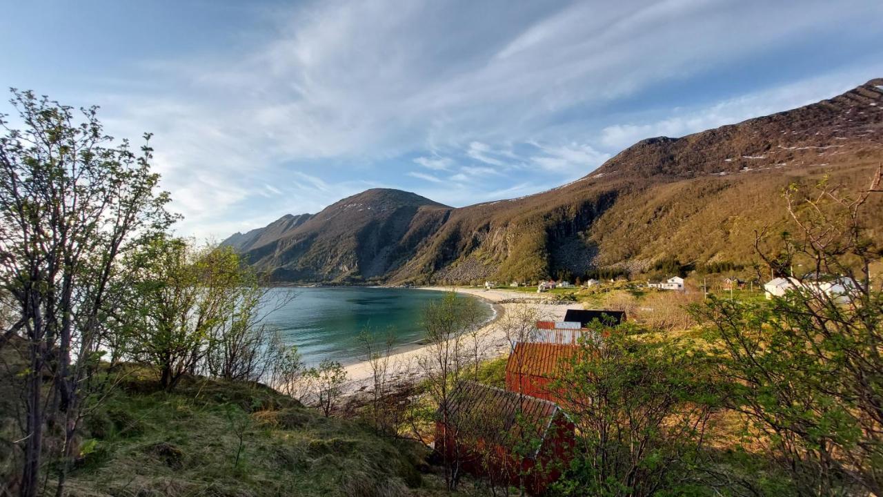 Holiday Home On Senja Senjahopen 外观 照片