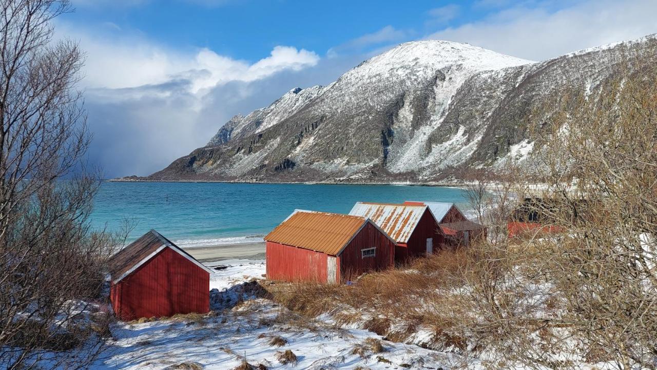 Holiday Home On Senja Senjahopen 外观 照片
