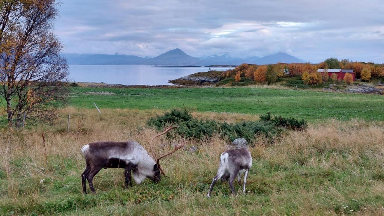 Holiday Home On Senja Senjahopen 外观 照片